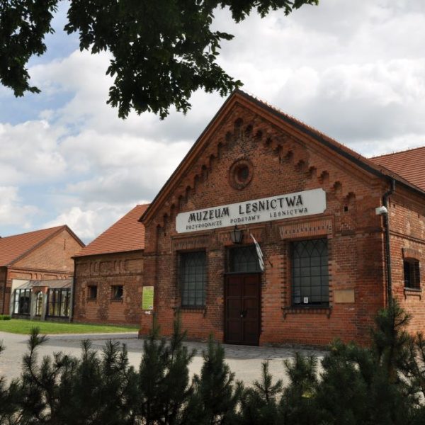 muzeum-lesnictwa Muzeum Leśnictwa Gołuchów